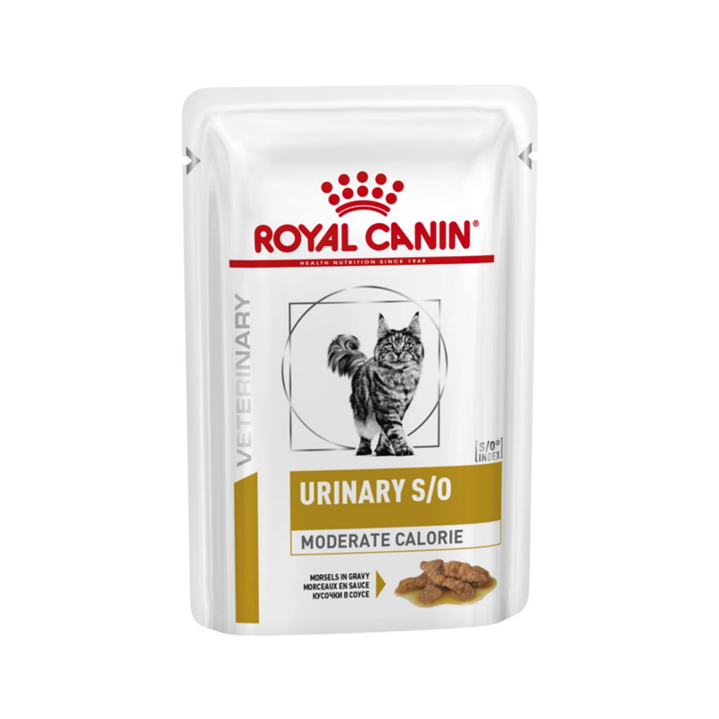 Royal Canin Urinary S/O Cat Pouch 85G - Alimento Húmedo para gatos | Blue Pets Boutique Chile