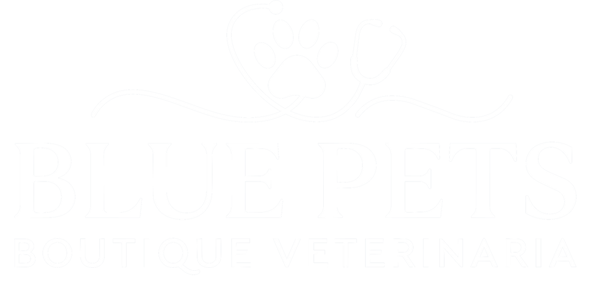 Blue Pets Boutique